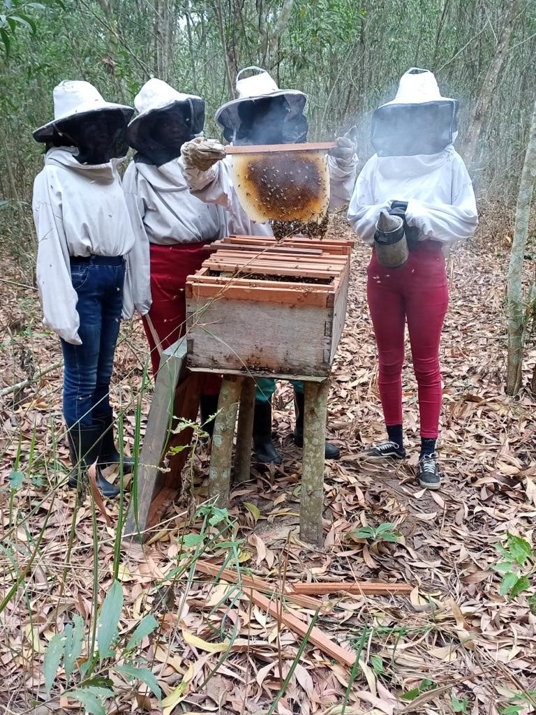 LE CALENDRIER APICOLE, UN OUTIL ESSENTIEL POUR TOUT APICULTEUR